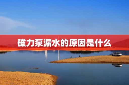 磁力泵漏水的原因是什么