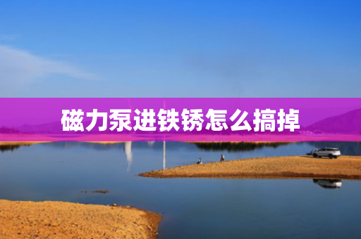 磁力泵进铁锈怎么搞掉