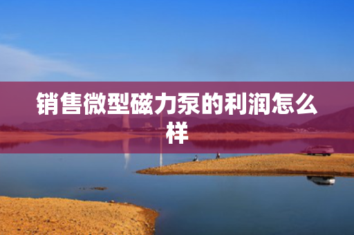 销售微型磁力泵的利润怎么样