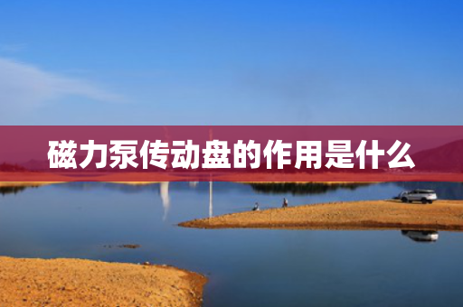 磁力泵传动盘的作用是什么