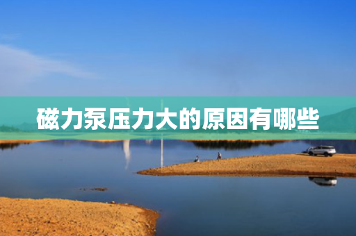 磁力泵压力大的原因有哪些