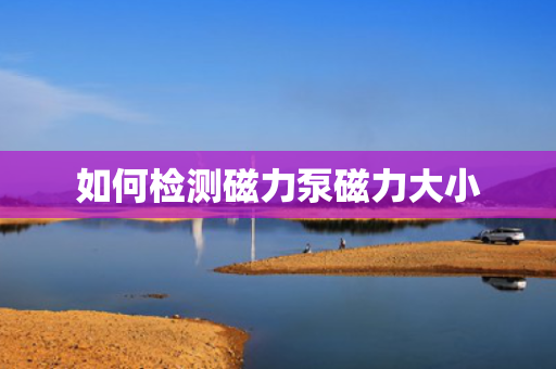 如何检测磁力泵磁力大小