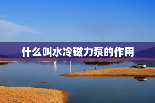 什么叫水冷磁力泵的作用