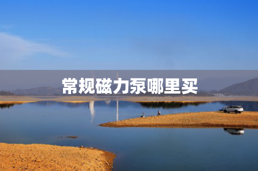 常规磁力泵哪里买