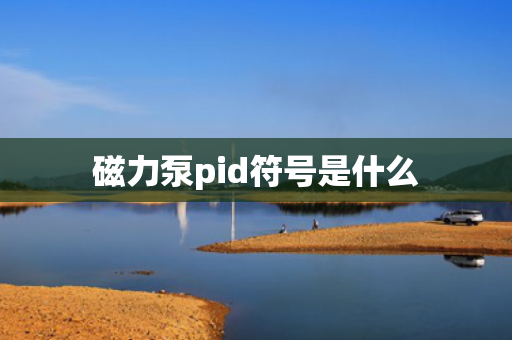 磁力泵pid符号是什么