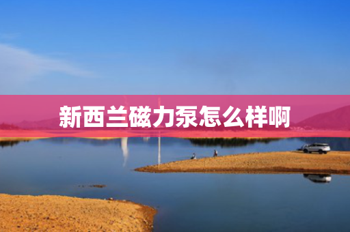 新西兰磁力泵怎么样啊