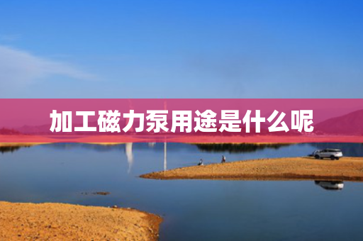 加工磁力泵用途是什么呢