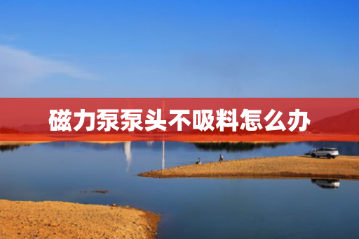 磁力泵泵头不吸料怎么办