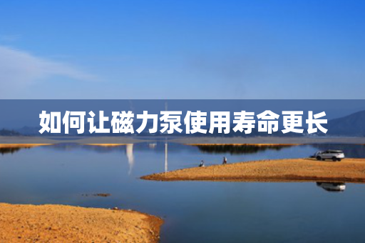 如何让磁力泵使用寿命更长