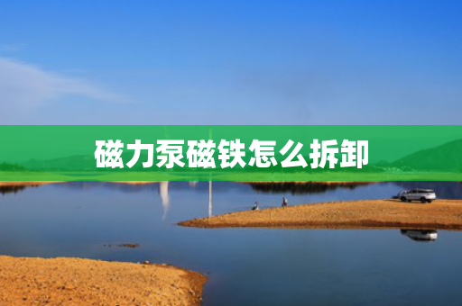 磁力泵磁铁怎么拆卸