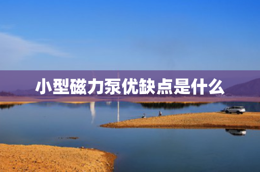 小型磁力泵优缺点是什么