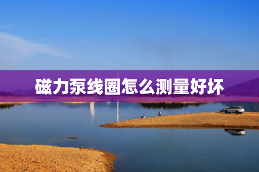 磁力泵线圈怎么测量好坏