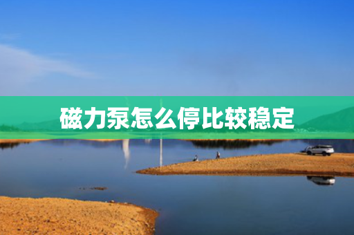 磁力泵怎么停比较稳定
