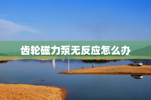 齿轮磁力泵无反应怎么办