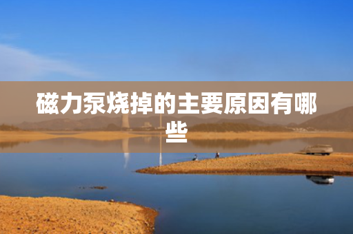 磁力泵烧掉的主要原因有哪些