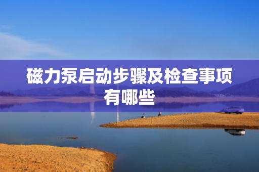 磁力泵启动步骤及检查事项有哪些
