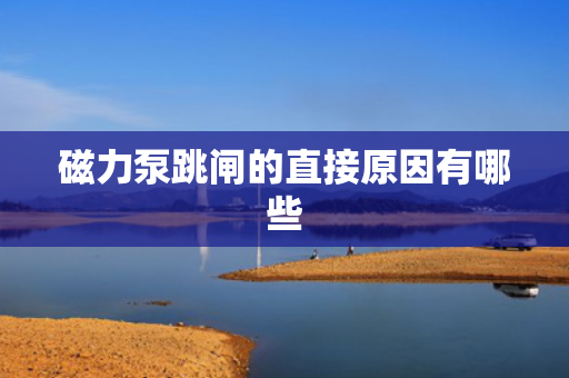 磁力泵跳闸的直接原因有哪些
