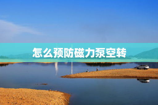 怎么预防磁力泵空转
