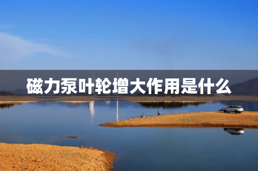 磁力泵叶轮增大作用是什么