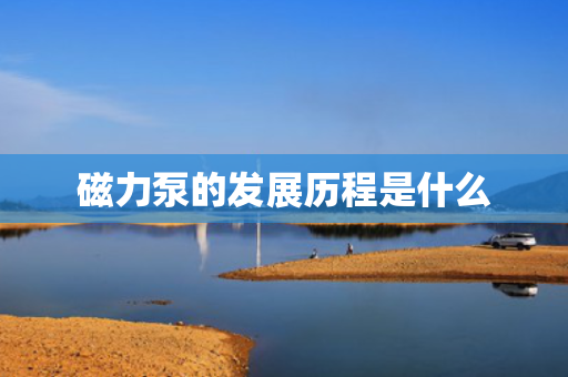 磁力泵的发展历程是什么