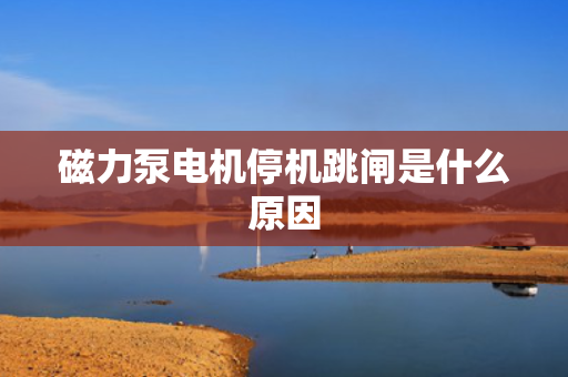 磁力泵电机?；⑹鞘裁丛? title=
