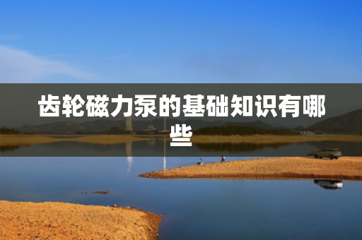 齿轮磁力泵的基础知识有哪些