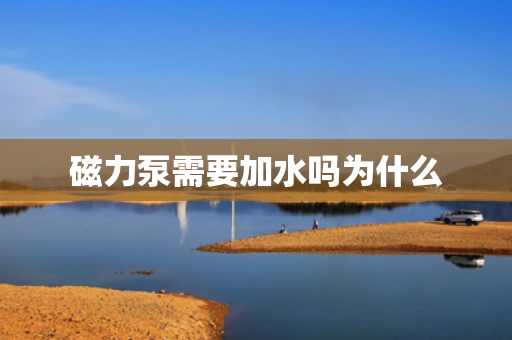 磁力泵需要加水吗为什么