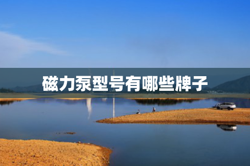 磁力泵型号有哪些牌子