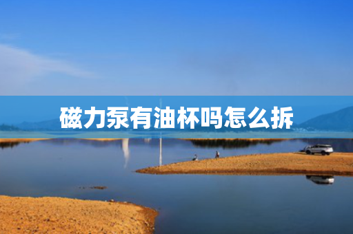 磁力泵有油杯吗怎么拆