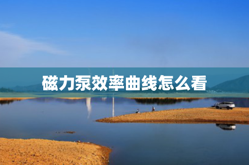 磁力泵效率曲线怎么看