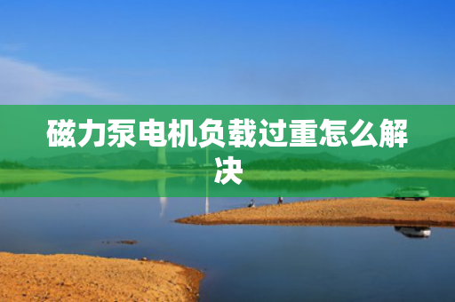 磁力泵电机负载过重怎么解决