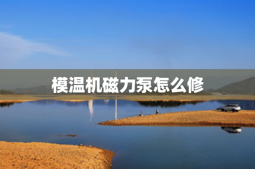 模温机磁力泵怎么修
