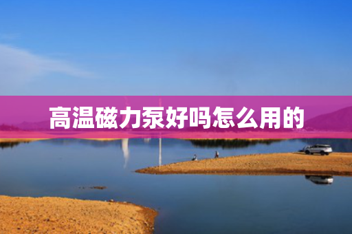 高温磁力泵好吗怎么用的