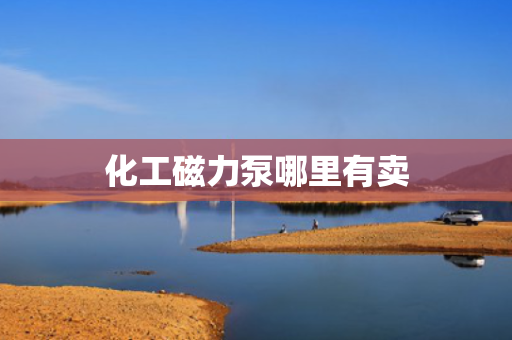 化工磁力泵哪里有卖