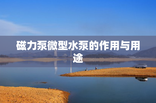 磁力泵微型水泵的作用与用途