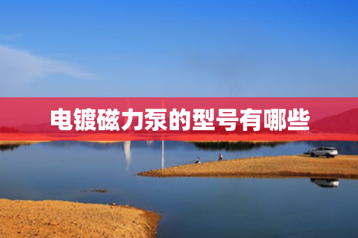 电镀磁力泵的型号有哪些