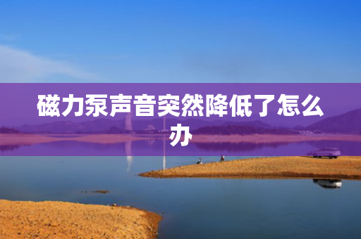 磁力泵声音突然降低了怎么办