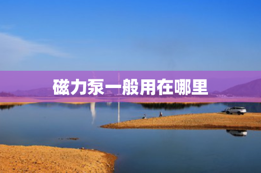 磁力泵一般用在哪里