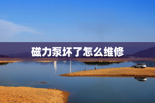 磁力泵坏了怎么维修