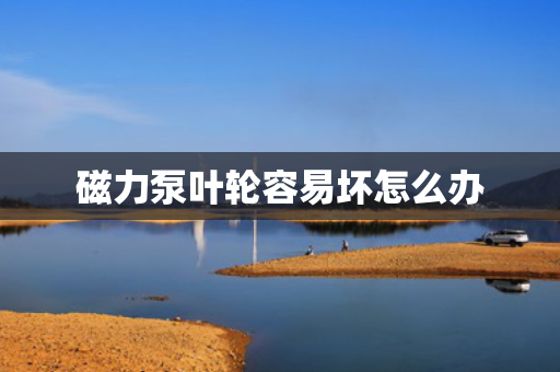磁力泵叶轮容易坏怎么办