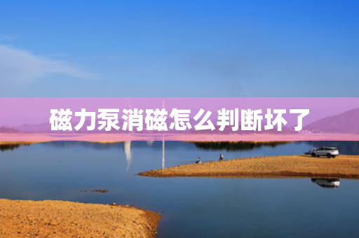 磁力泵消磁怎么判断坏了