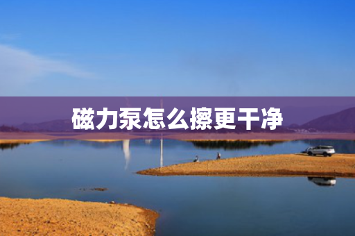 磁力泵怎么擦更干净