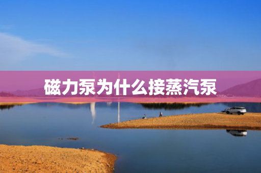 磁力泵为什么接蒸汽泵