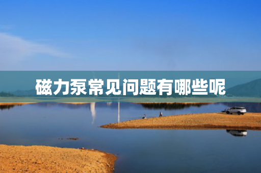 磁力泵常见问题有哪些呢
