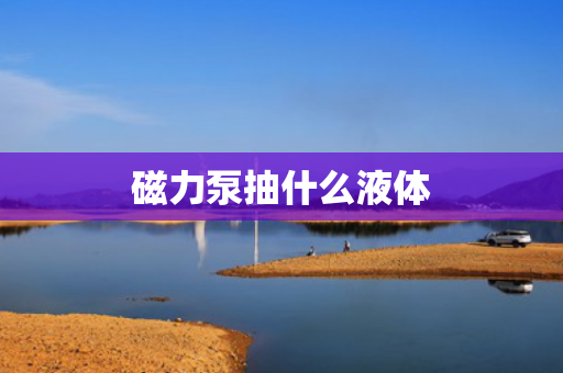 磁力泵抽什么液体