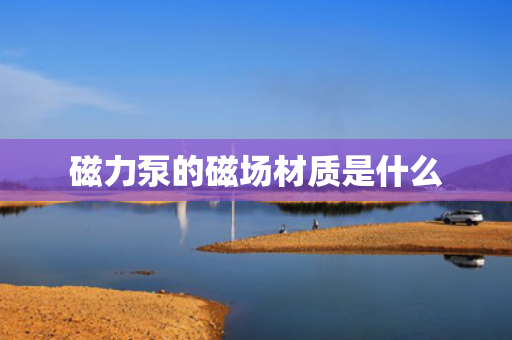 磁力泵的磁场材质是什么