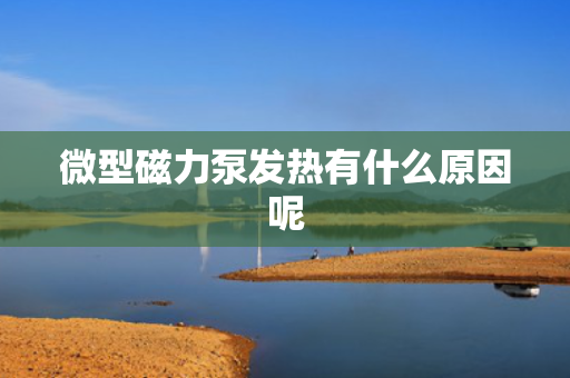 微型磁力泵发热有什么原因呢