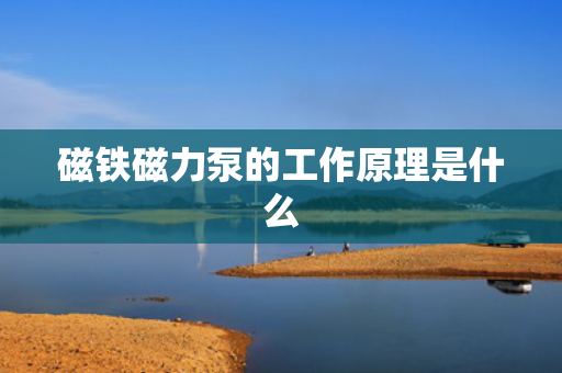 磁铁磁力泵的工作原理是什么