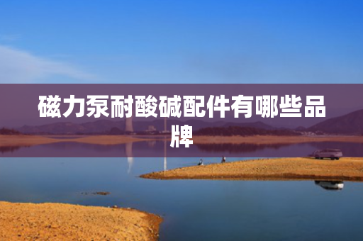 磁力泵耐酸碱配件有哪些品牌