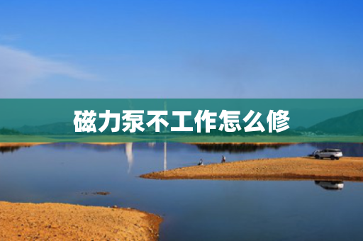 磁力泵不工作怎么修